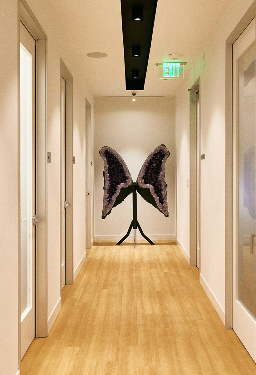 Beverly Hills Hallway with Amethyst Wing